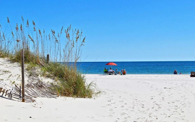 Whaler by Youngs Suncoast