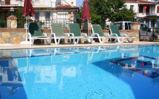 Dream Of Holiday Star