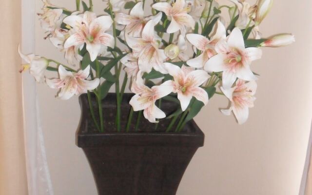 The Elephant Hills B&B