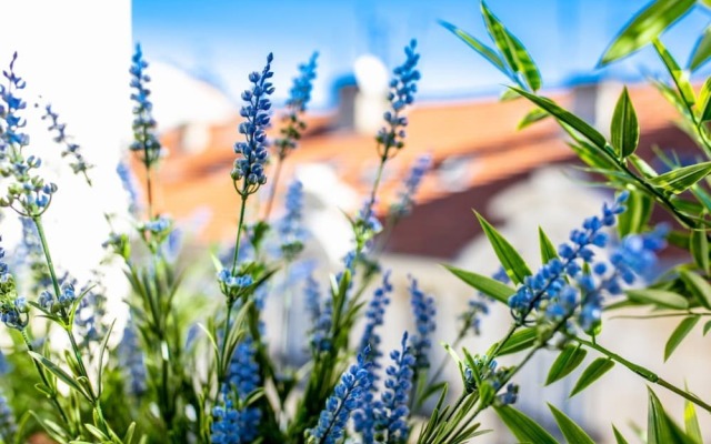 Le Colisee AP4190 By RIVIERA HOLIDAY HOMES