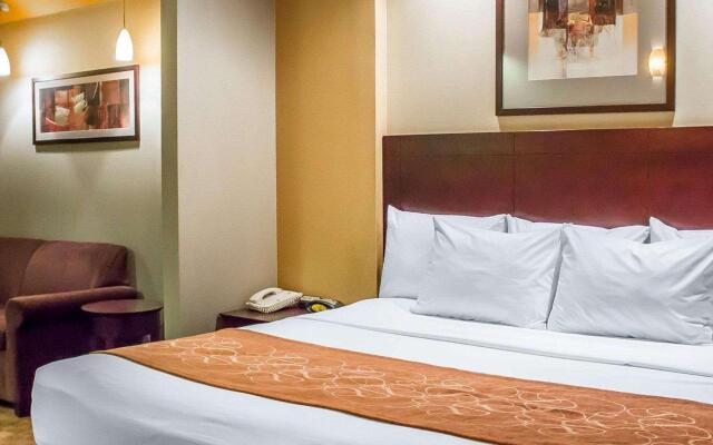 Comfort Suites Perrysburg - Toledo South