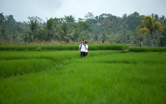 Sayan Ubud Guest Houses