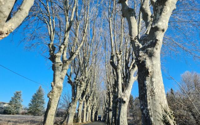 Les Marronniers
