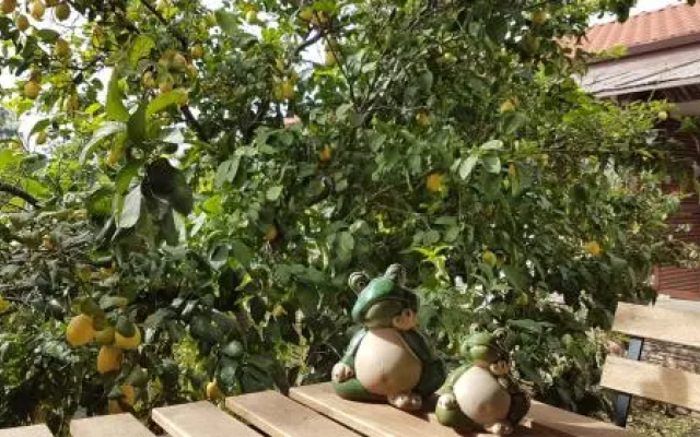 Mandarin Konukevi