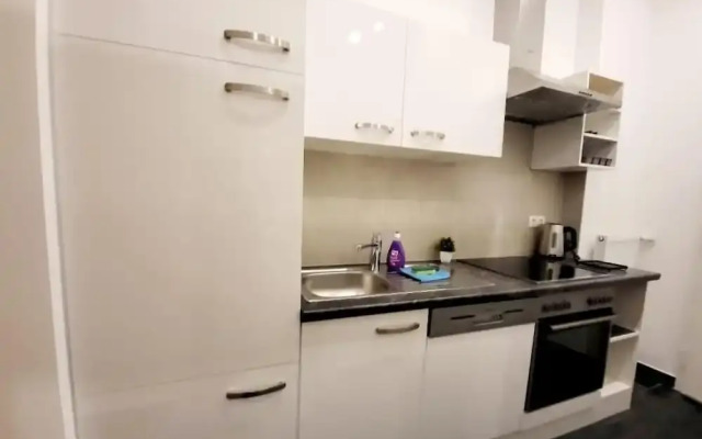 Neulerchenfelder City Apartment