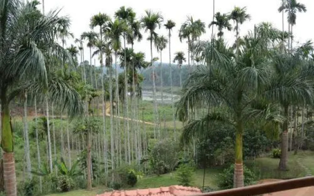 Misty Meadows Hotel