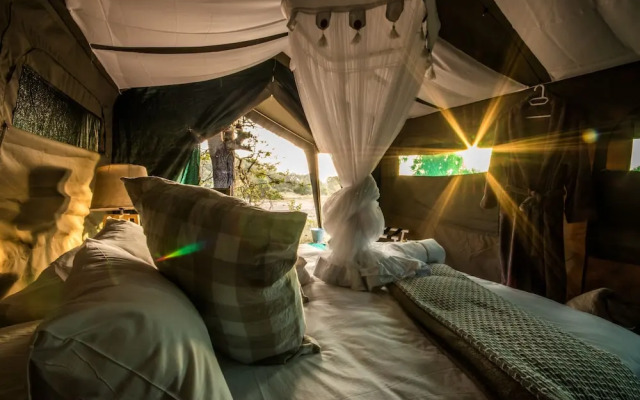 Kruger Untamed - Tshokwane River Camp