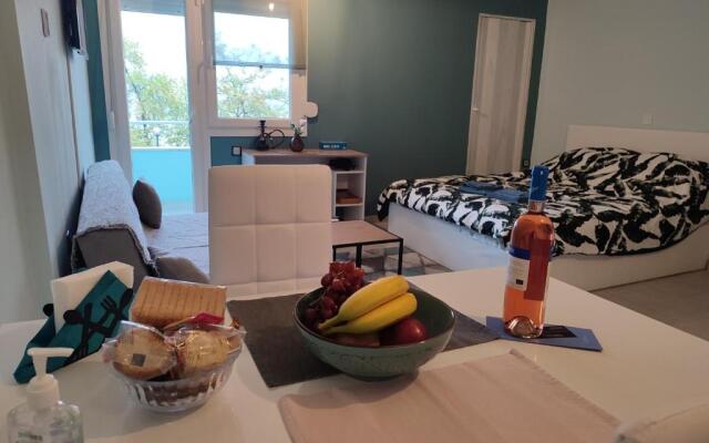 The North Apartment
