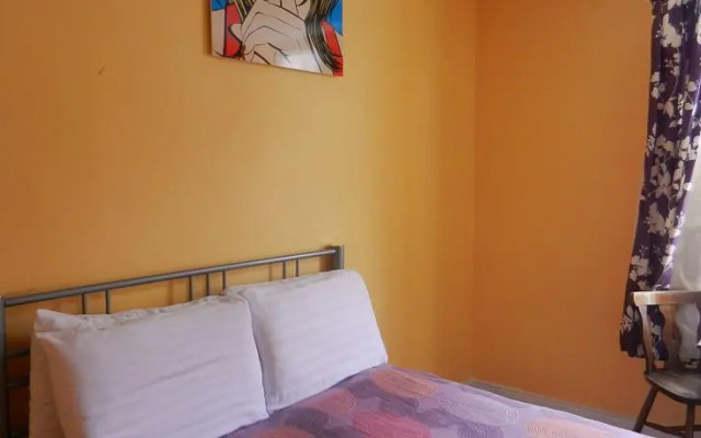 Paddys Palace Killarney