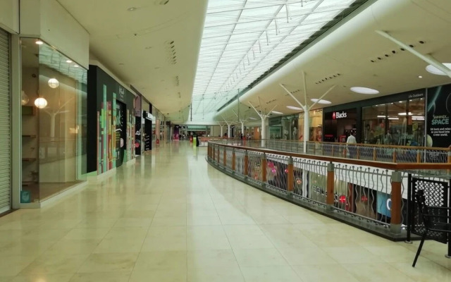 Luxury One Bedroom Apartment