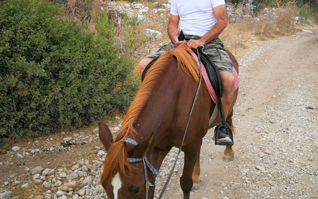 Patara Caretta Hotel