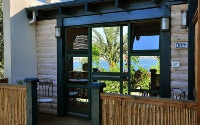 Kinneret Zimmer’s - Near the Beach
