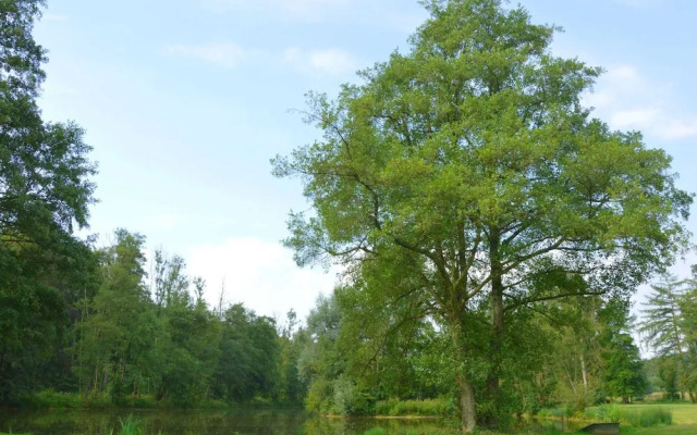 Castle in Vyle Et Tharoul With Garden