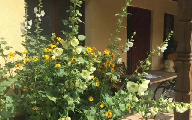 Agroturystyka Pod Podkową