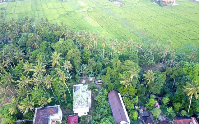 Pangkung Sari