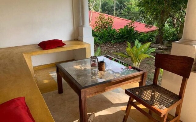 The Jungle House