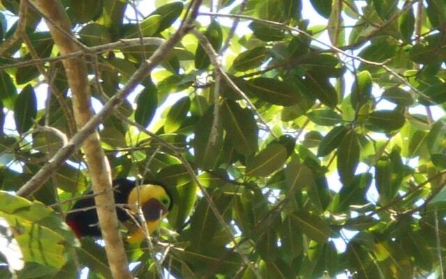 Hotel Jhazmin Aeropuerto