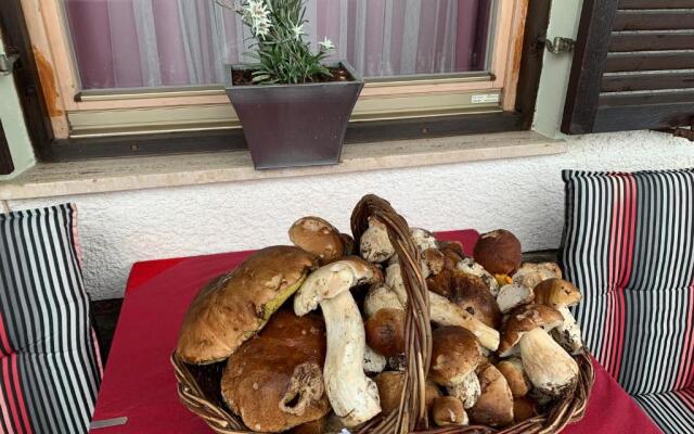 Pension Alpenblick