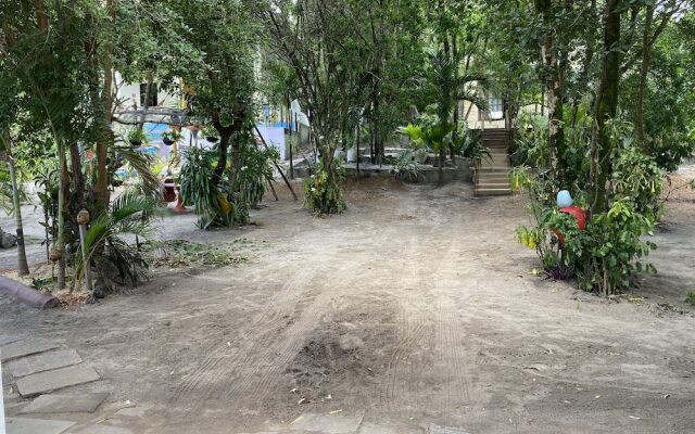 Macaco Surf House - Hostel