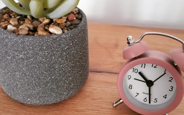 Studio apartman Promenada