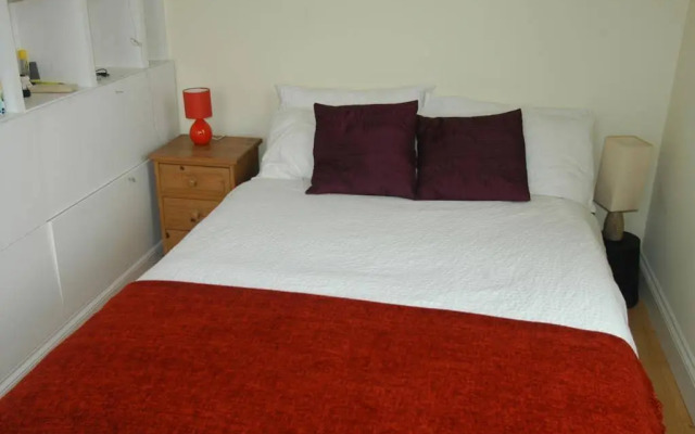 D Collection @Kensington