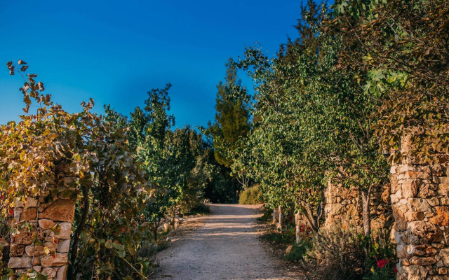 Tur Sinai Organic Farm Resort