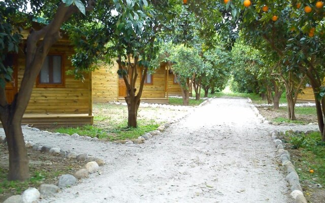 Yesil Bahce Bungalow - Ahsap Evler