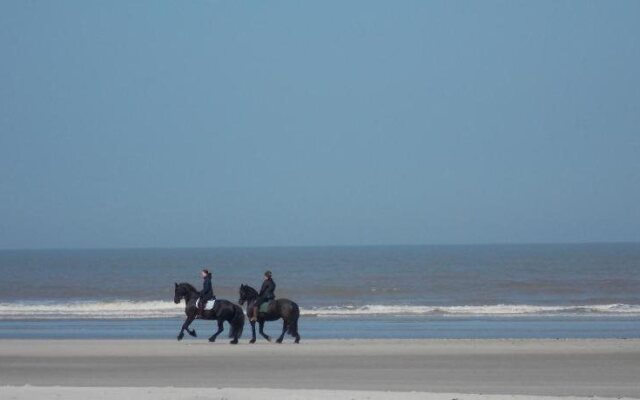 Hotel Brasserie Om de Noord
