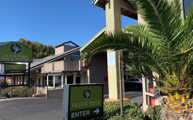 Olive Tree inn & Suites