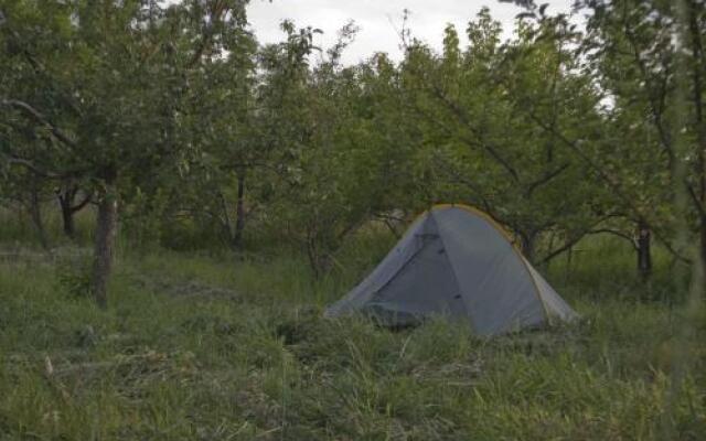 SunHouse Hostel Karakol