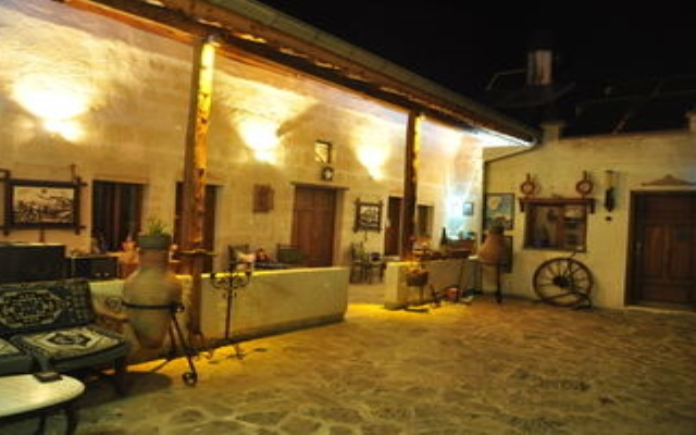 Bir Kedi Villa