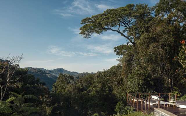 One&Only Nyungwe House