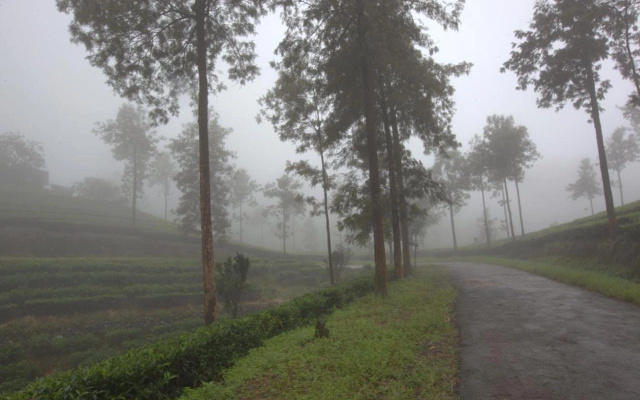 Grand Plaza Munnar