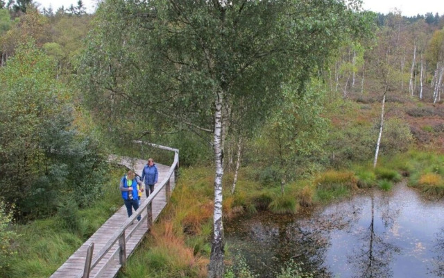 Fasse Comfortable Holiday Residence