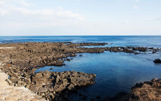 Lasania Castle Resort