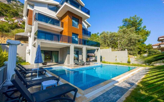 Göcek Marin B 4+1 Villa, Özel Havuzlu