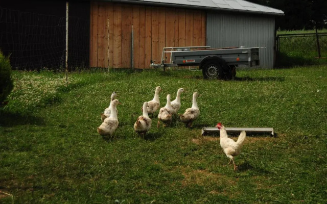 Wczasy od Maluszka do Staruszka