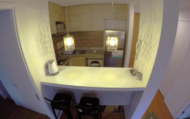 Depto Suite Centro I