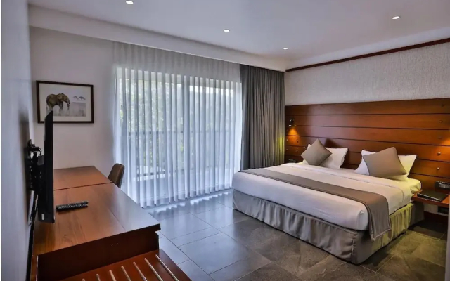 The Violet Thekkady