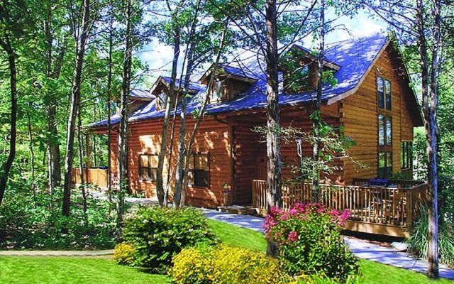 Cabins at Grand Mountain by Thousand Hills Resort