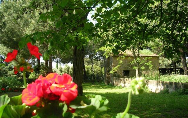 Agriturismo Il Piaggione
