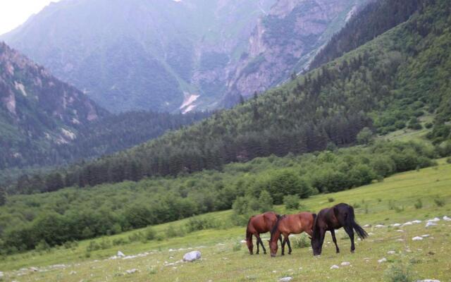 Guesthouse Dolra Svaneti