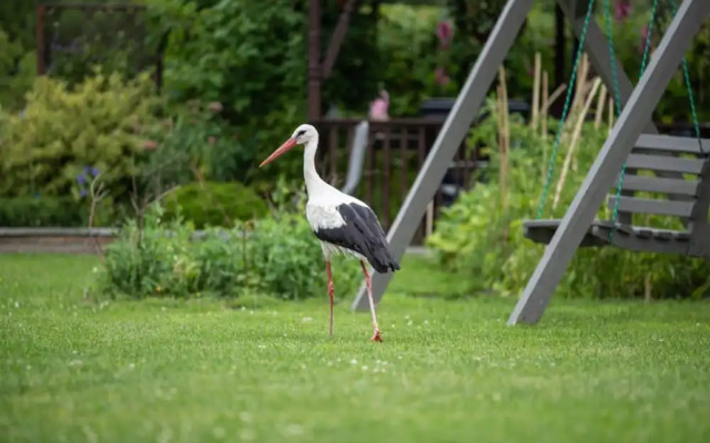 Summer House in Dabrowa by the Sea