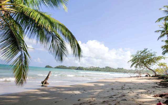 Turtle Lagoon Beach