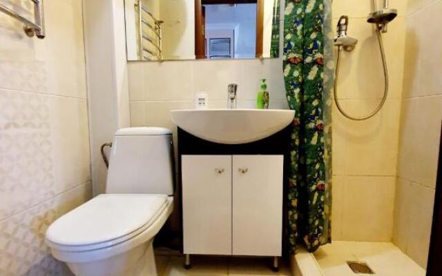 Apartment Voznesenskaya 25