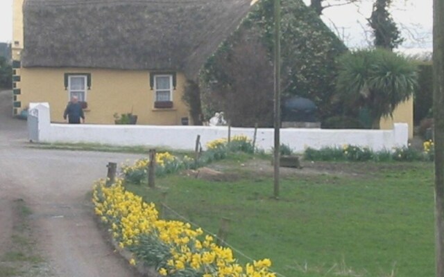 Knights Haven B&B