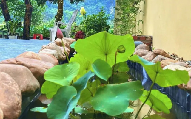 Tràng An Sunny Homestay