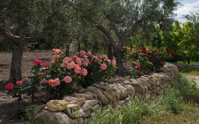 Trullo del Cavaliere