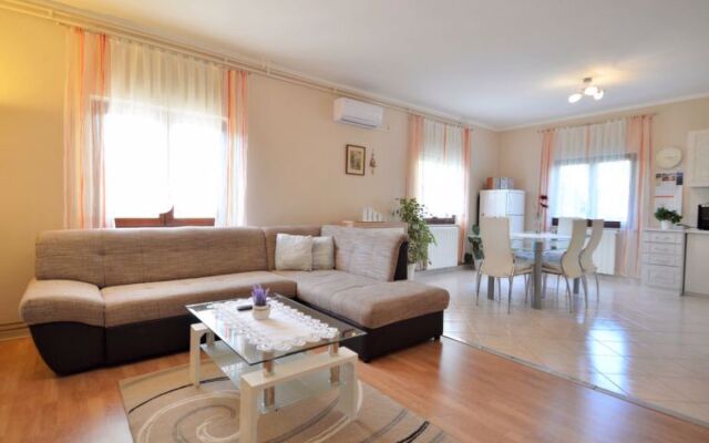 Cekic (ROJ506)