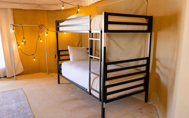 Zion Wildflower, BW Premier Collection